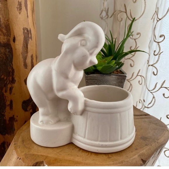 Elephant face - Picture 1 of 4